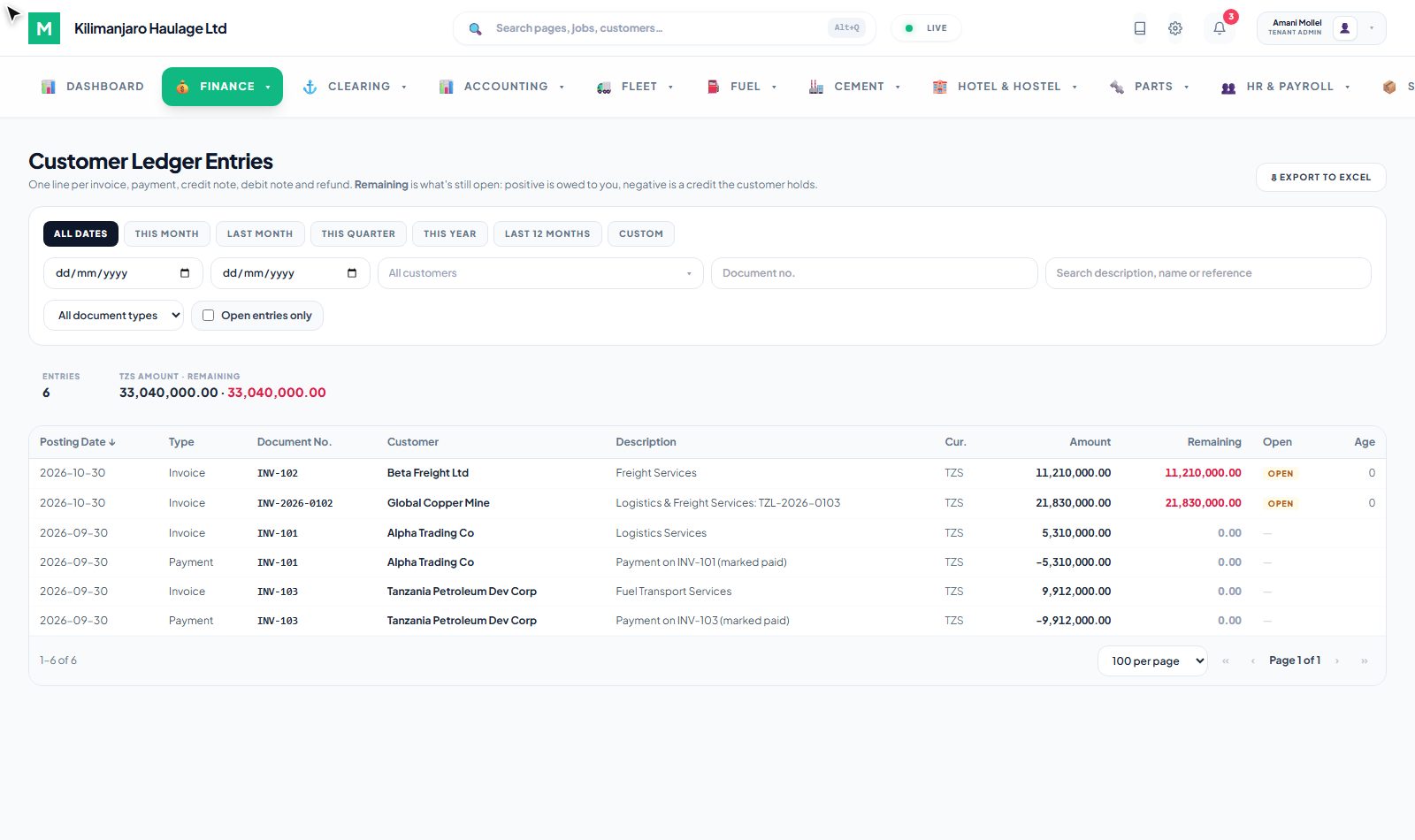 Customer Ledger Entries: every invoice and payment, with what is still open